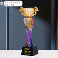 Colourful Glass Crystal Award Trophies Competition Award Glass Trophy-13-13款水晶烤色奖杯