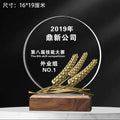 Crystal Glass Trophy Wooden Base Blank Engraving Printing Competition Award Business Medal-19-19款木质水晶奖杯