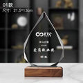 Solid Wood Base Crystal Awards Color Printed Crystal Trophy-1-01款木质水晶奖杯
