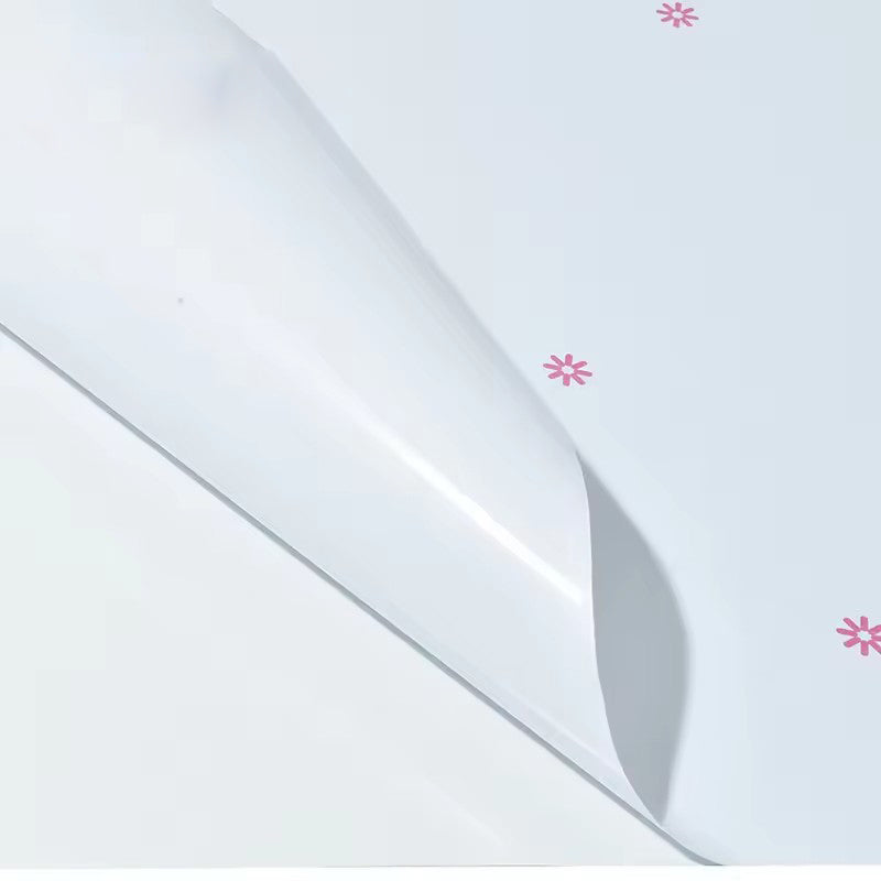 AD300S Series Self Adhesive Vinyl-140G AD300S车身贴